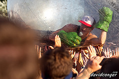 Family Force 5
