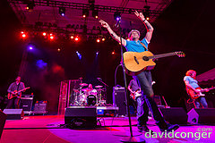 Gin Blossoms
