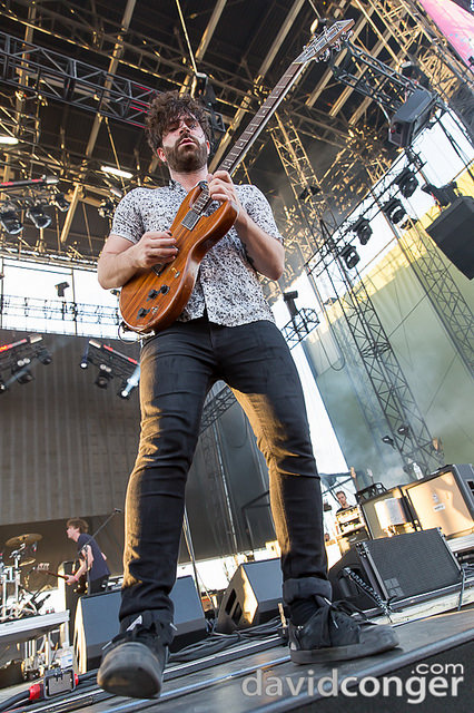 Foals