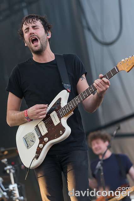 Foals