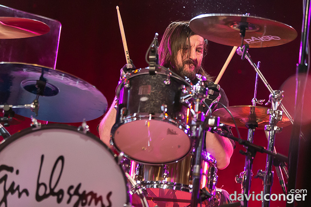 Gin Blossoms