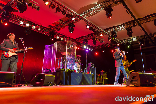 Gin Blossoms