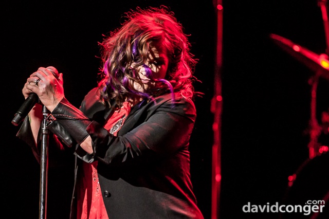 Ann Wilson
