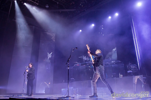 The XX