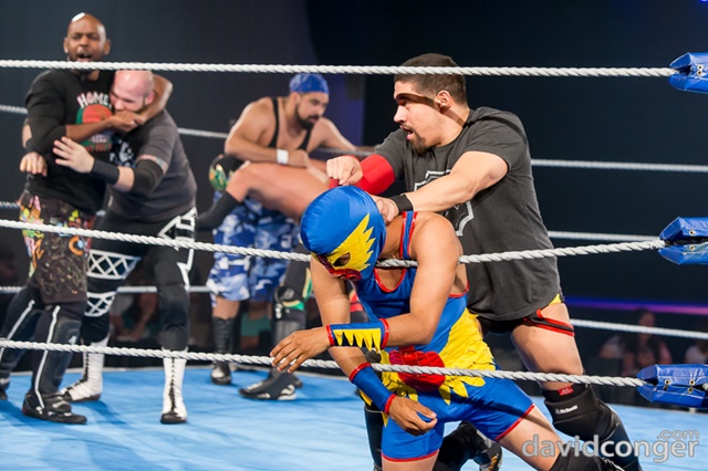 Macho Libre